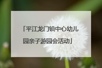 平江龙门镇中心幼儿园亲子游园会活动