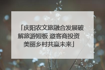 庆阳农文旅融合发展破解旅游短板 邀客商投资美丽乡村共赢未来