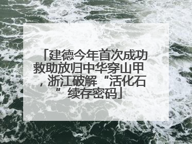 建德今年首次成功救助放归中华穿山甲，浙江破解“活化石”续存密码