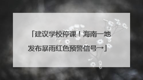 建议学校停课！海南一地发布暴雨红色预警信号→