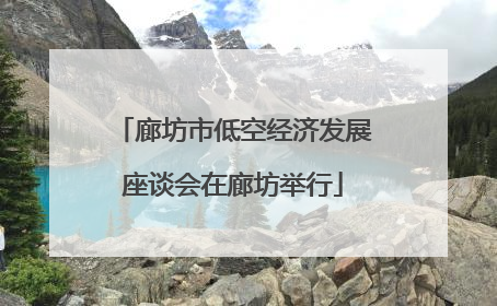 廊坊市低空经济发展座谈会在廊坊举行