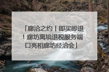 廊洽之约丨即买即退！廊坊离境退税服务端口亮相廊坊经洽会