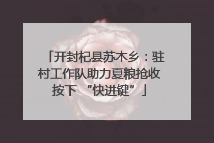 开封杞县苏木乡：驻村工作队助力夏粮抢收按下 “快进键”