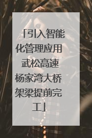 引入智能化管理应用 武松高速杨家湾大桥架梁提前完工