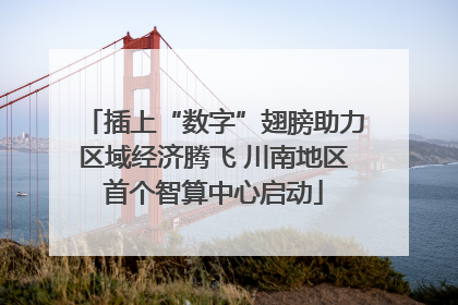插上“数字”翅膀助力区域经济腾飞 川南地区首个智算中心启动