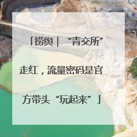 捞舆｜“青交所”走红，流量密码是官方带头“玩起来”