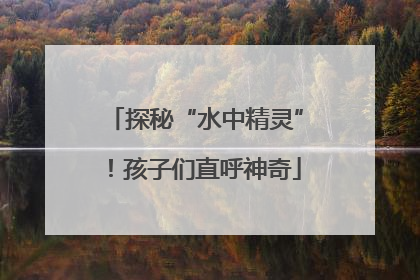 探秘“水中精灵”！孩子们直呼神奇