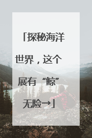 探秘海洋世界，这个展有“鲸”无险→