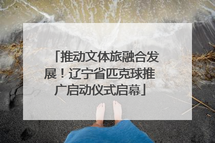 推动文体旅融合发展！辽宁省匹克球推广启动仪式启幕