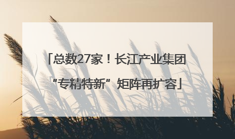 总数27家！长江产业集团“专精特新”矩阵再扩容