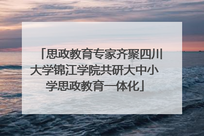 思政教育专家齐聚四川大学锦江学院共研大中小学思政教育一体化