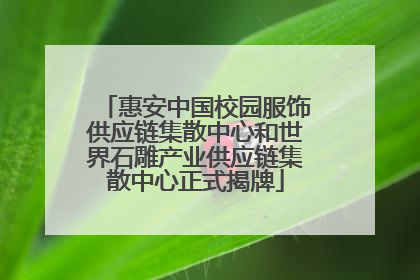 惠安中国校园服饰供应链集散中心和世界石雕产业供应链集散中心正式揭牌