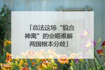 意法这场“貌合神离”的会晤难解两国根本分歧