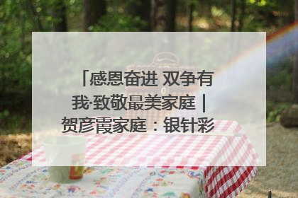 感恩奋进 双争有我·致敬最美家庭｜贺彦霞家庭：银针彩线绣出好日子
