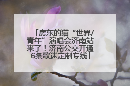 房东的猫“世界/青年”演唱会济南站来了！济南公交开通6条歌迷定制专线