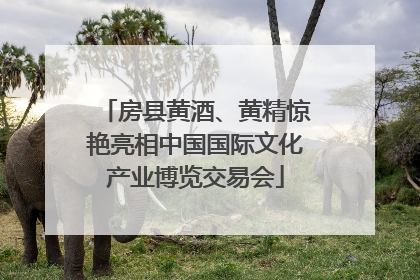 房县黄酒、黄精惊艳亮相中国国际文化产业博览交易会