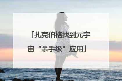 扎克伯格找到元宇宙“杀手级”应用