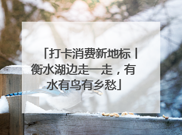 打卡消费新地标丨衡水湖边走一走，有水有鸟有乡愁