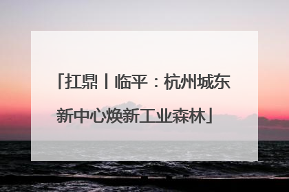 扛鼎丨临平：杭州城东新中心焕新工业森林