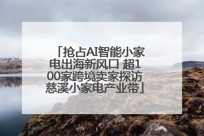 抢占AI智能小家电出海新风口 超100家跨境卖家探访慈溪小家电产业带