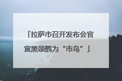 拉萨市召开发布会官宣黑颈鹤为“市鸟”