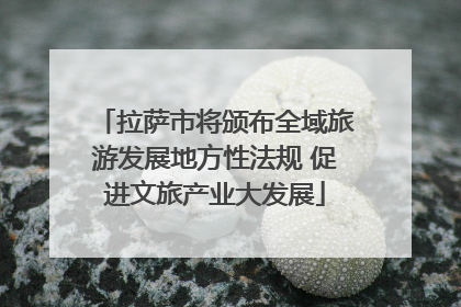拉萨市将颁布全域旅游发展地方性法规 促进文旅产业大发展
