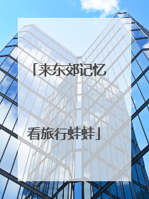 来东郊记忆 看旅行蛙蛙