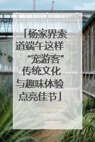 杨家界索道端午这样“宠游客” 传统文化与趣味体验点亮佳节