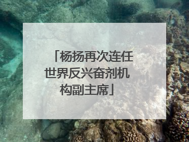 杨扬再次连任世界反兴奋剂机构副主席