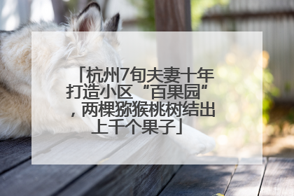 杭州7旬夫妻十年打造小区“百果园”，两棵猕猴桃树结出上千个果子