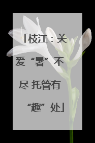 枝江：关爱“暑”不尽 托管有“趣”处