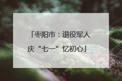 枣阳市：退役军人庆“七一”忆初心