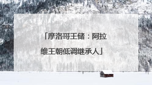 摩洛哥王储：阿拉维王朝低调继承人