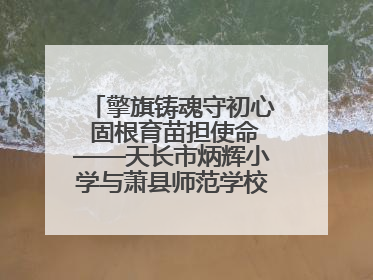 擎旗铸魂守初心 固根育苗担使命——天长市炳辉小学与萧县师范学校附属小学结对共建活动纪实