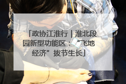 政协江淮行｜淮北段园新型功能区：“飞地经济”拔节生长