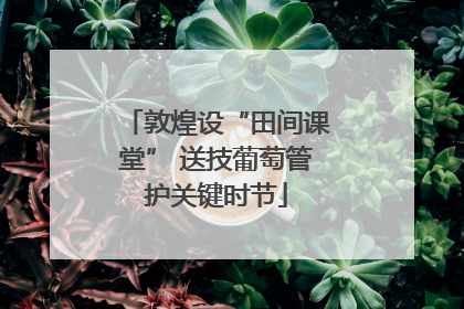 敦煌设“田间课堂” 送技葡萄管护关键时节
