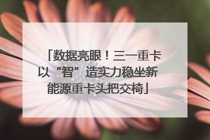 数据亮眼！三一重卡以“智”造实力稳坐新能源重卡头把交椅