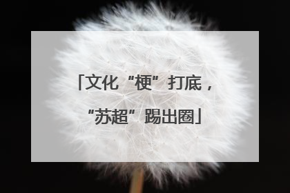 文化“梗”打底，“苏超”踢出圈