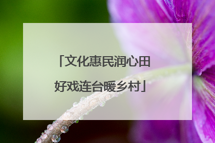 文化惠民润心田 好戏连台暖乡村