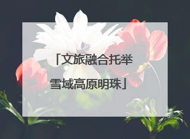 文旅融合托举雪域高原明珠