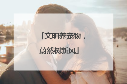 文明养宠物,蔚然树新风