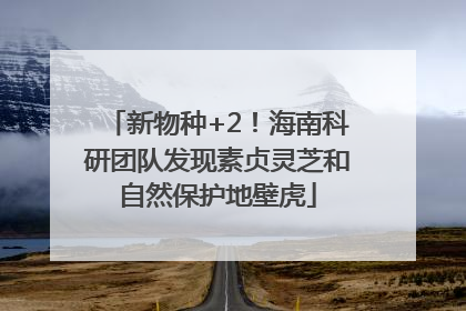 新物种+2！海南科研团队发现素贞灵芝和自然保护地壁虎