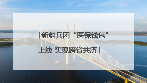 新疆兵团“医保钱包”上线 实现跨省共济