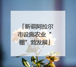 新疆阿拉尔市设施农业“棚”勃发展