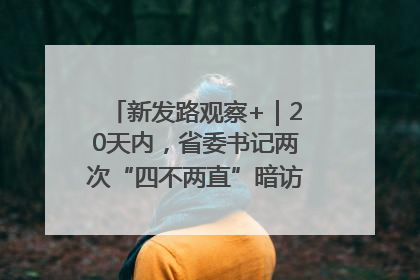 新发路观察+｜20天内，省委书记两次“四不两直”暗访，有何深意？