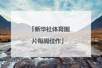 新华社体育图片每周佳作