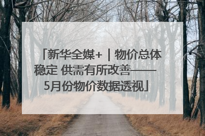 新华全媒+｜物价总体稳定 供需有所改善——5月份物价数据透视
