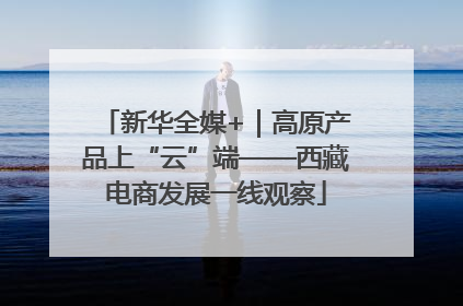 新华全媒+｜高原产品上“云”端——西藏电商发展一线观察