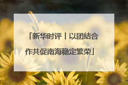新华时评丨以团结合作共促南海稳定繁荣