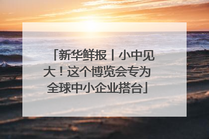 新华鲜报丨小中见大！这个博览会专为全球中小企业搭台